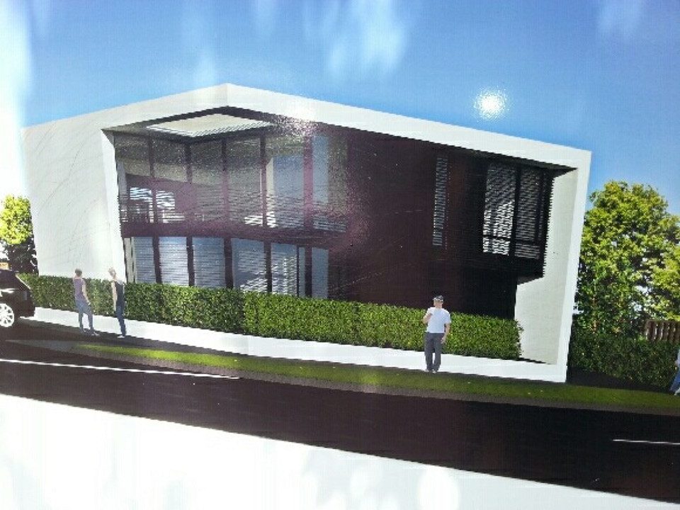 Artist's impression of a privacy hedge