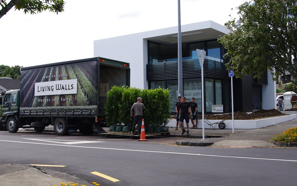 Hedge arrives