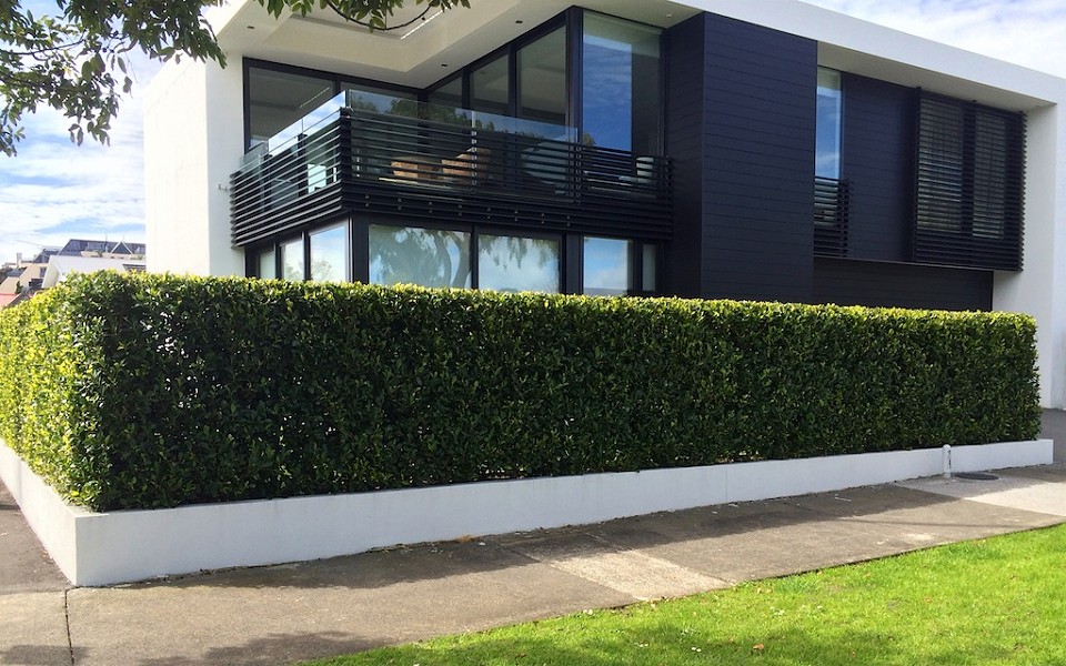 instant hedges installation residential project A