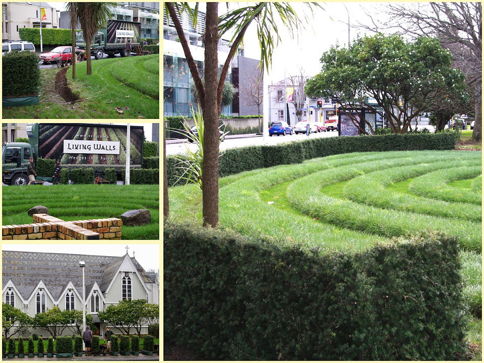 Living Walls™ hedge lengths delivered and installed beside the Trinity Cathedral columbarium, with the completed boundary five days later.